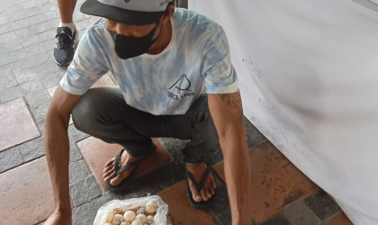 Menemukan Penyu Bertelur di Pantai Boom