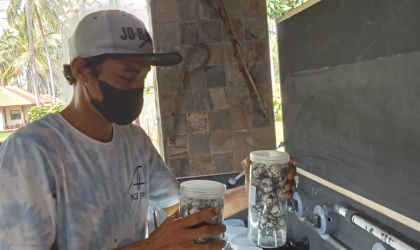 Menemukan Penyu Bertelur di Pantai Boom