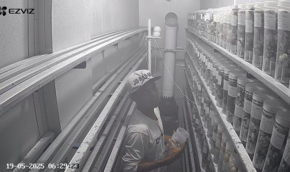 Menemukan Penyu Bertelur di Pantai Pulau Santen