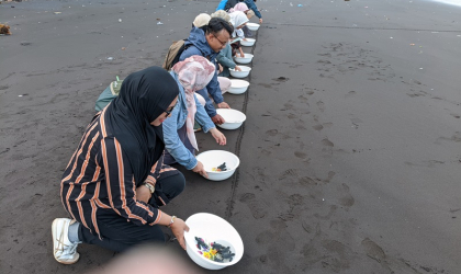 Pelepasliaran Tukik Bersama UNAIR