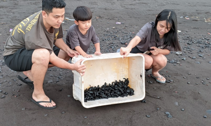 Pelepasliaran Tukik Bersama Gabe