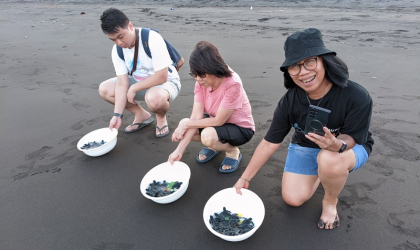 Pelepasliaran Tukik Bersama Tina