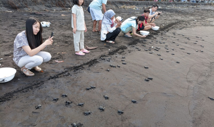 Pelepasliaran Tukik Bersama Deby