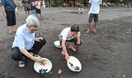 Pelepasliaran Tukik Bersama Hadi