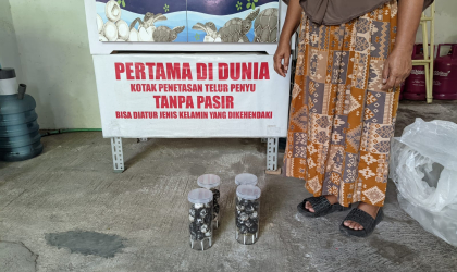 Menemukan Penyu Bertelur di Pantai Pulau Santen
