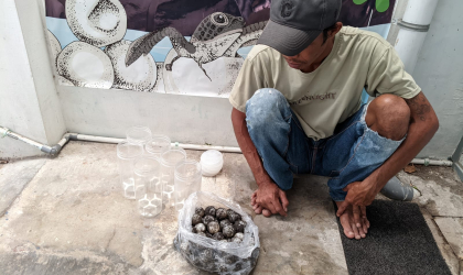 Menemukan Penyu Bertelur di Pantai Kramat