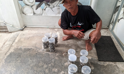 Menemukan Penyu Bertelur di Pantai Boom
