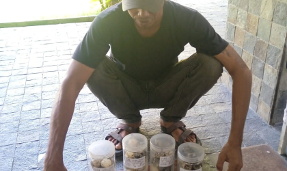 Menemukan Penyu Bertelur di Pantai Sobo