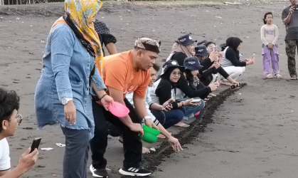 Pelepasliaran Tukik Bersama UNAIR