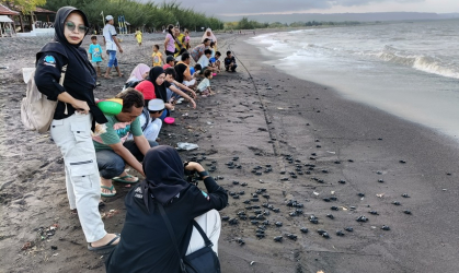 Pelepasliaran Tukik bersama Masyarakat dan siswa PKL. SMKN 1 Banyuwangi