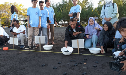 Pelepasliaran Tukik Bersama Mandiri Taspen dan Mahasiswa UNAIR