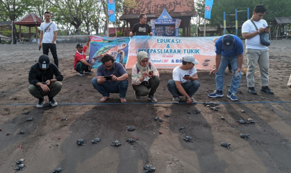 Pelepasliaran Tukik Bersama Indofood