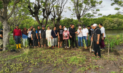 Penanaman Pandan Laut sebagai Penunjang Konservasi Penyu