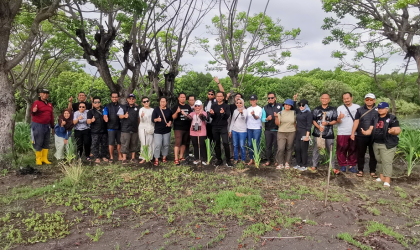 Penanaman Pandan Laut sebagai Penunjang Konservasi Penyu