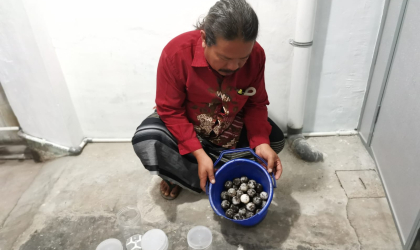 Menemukan Penyu Bertelur di Pantai Pulau Santen