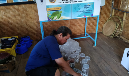 Menemukan Penyu Bertelur di Pantai Pulau Santen