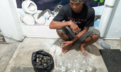 Menemukan Penyu Bertelur di Pantai Pulau Santen