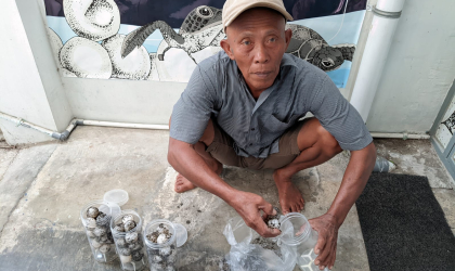 Menemukan Penyu Bertelur di Pantai Boom