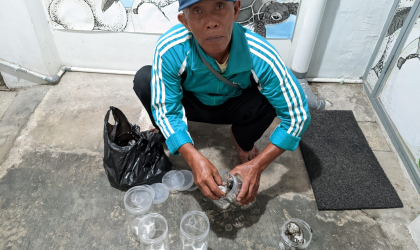 Menemukan Penyu Bertelur di Pantai Boom