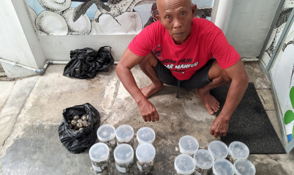 Menemukan Penyu Bertelur di Pantai Boom