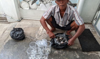 Menemukan Penyu Bertelur di Pantai Boom