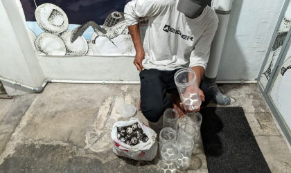 Menemukan Penyu Bertelur di Pantai Pulau Santen