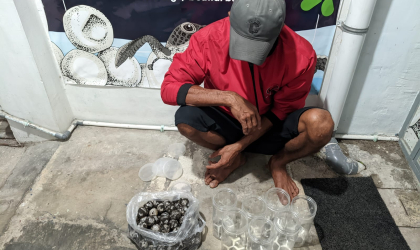 Menemukan Penyu Bertelur di Pantai Kramat