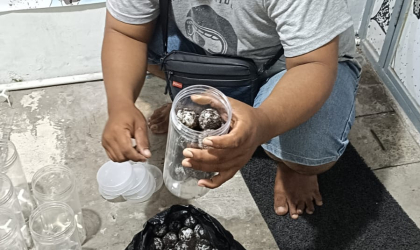 Menemukan Penyu Bertelur di Pantai Boom