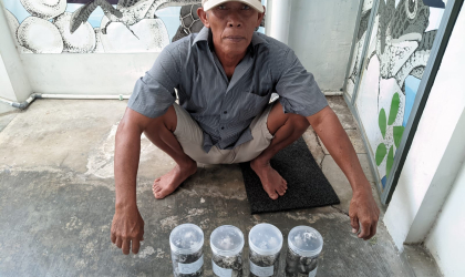 Menemukan Penyu Bertelur di Pantai Mirah