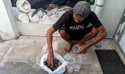 Menemukan Penyu Bertelur di Pantai Bulusan