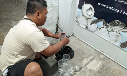 Menemukan Penyu Bertelur di Pantai Boom