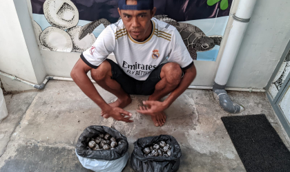 Menemukan Penyu Bertelur di Pantai Kramat