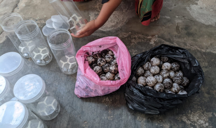 Menemukan Penyu Bertelur di Pantai Donosuko