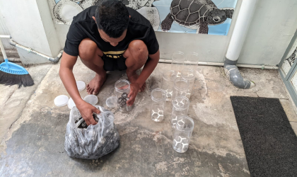 Menemukan Penyu Bertelur di Pantai Boom