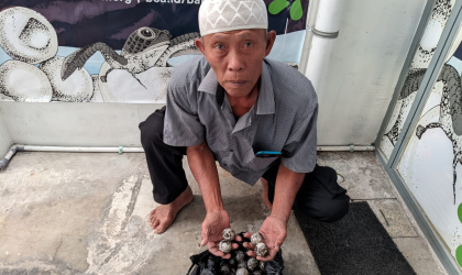 Menemukan Penyu Bertelur di Pantai Mirah