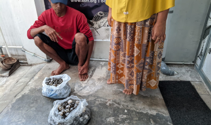 Menemukan Penyu Bertelur di Pantai Donosuko
