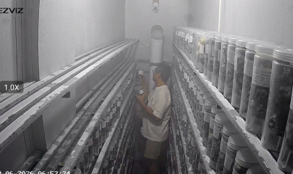 Menemukan Penyu Bertelur di Pantai Donosuko
