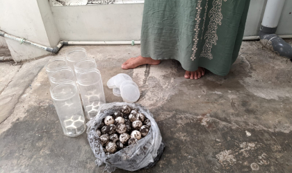 Menemukan Penyu Bertelur di Pantai Sobo