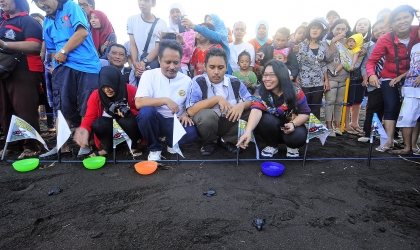 Pelepasliaran Penyu GKJW 8