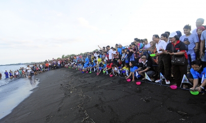 Pelepasliaran Penyu GKJW 9