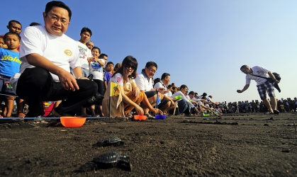 Pelepasliaran Tukik YPPI 4