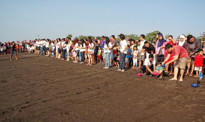 Pelepasliaran Tukik YPPI 2