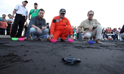 Pelepasliaran Tukik Bersama Calon Penerbang Banyuwangi