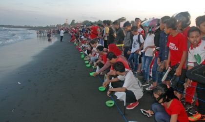 Pelepasliaran Tukik Bersama Komunitas @DLIBCrew