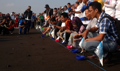 Pelepasliaran Tukik Bersama Pejabat Perhutani Divre Prop Jatim