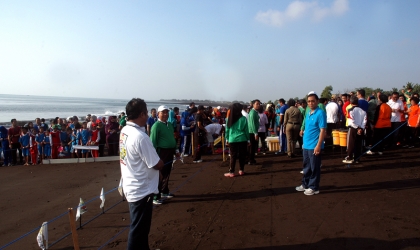 Pelepasliaran Tukik Bersama Tim Kenaikan Pangkat BKD