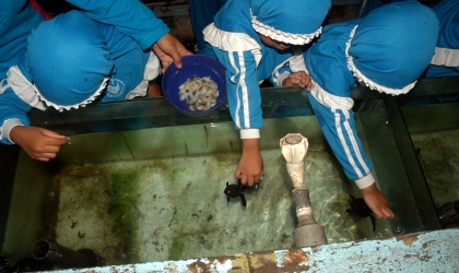 Socializing to Tk Alirsyad 2 Ketapang