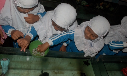 Socializing to Tk Alirsyad 2 Ketapang