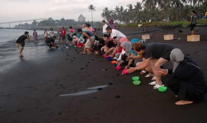 Pelepasliaran Tukik Bersama Dokter Spesialis Jiwa Indonesia Cabang Bandung