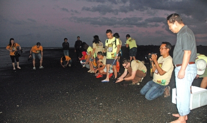 Pelepasliaran Tukik Bersama Majalah Traveler GetLost